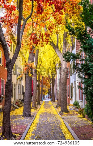 Philadelphia, Pennsylvania, USA alley in the fall.
