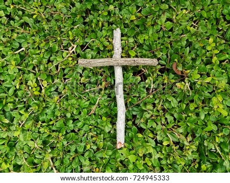 Strength wooden Christ cross on natural green bush background