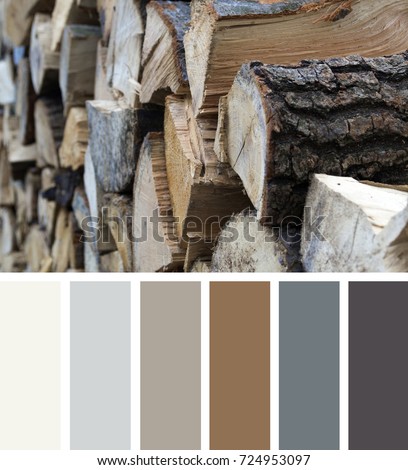 Natural wooden background. Dry chopped firewood in a pile. Color palette series. Color swatches. Royalty-Free Stock Photo #724953097