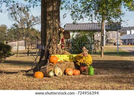 Scarecrow, yellow mum flowers, harvested orange pumpkins, squashes, gourd, watering can on hay front yard garden farm house in rural Arkansas, USA. Traditional Halloween, Thanksgiving, Fall decoration