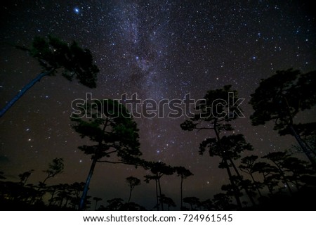 beautiful milky way across over the sky  in tropical forest on top of the mountain at northern of Thailand
photo has gain & noise