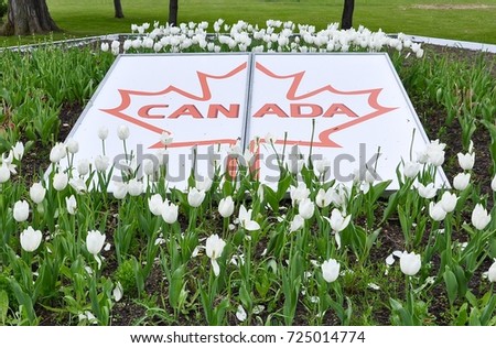 Canada sign in the middle of garden with  with tulips flowers