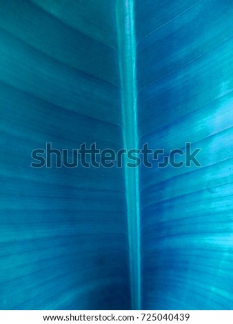 Background image of Blue leaves
