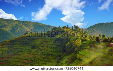 Beautiful landscape in southwestern Uganda, at the Bwindi Impenetrable Forest National Park, at the borders of Uganda, Congo and Rwanda. The Bwindi National Park is the home of the mountain gorillas. Royalty-Free Stock Photo #725060746