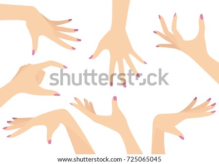 Vector set of beautiful woman hands isolated on white