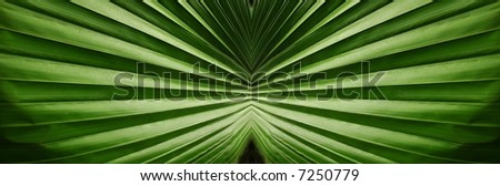 An abstract created using a nature green leaf image.