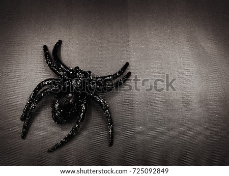 Black Spider Rubber on Gray Background with Vignette Effect / Horror and Haunted Toy for Halloween Concept 