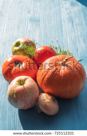 Closeup of freshly harvested vegetables. Pumpkin, tomatoes, onion, dill, apples. top view