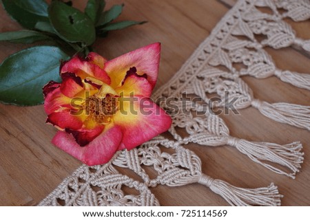 Picture of a beautiful rosy rose
