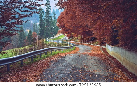 Beautiful autumn landscape road in the mountains with leaves and autumn trees
