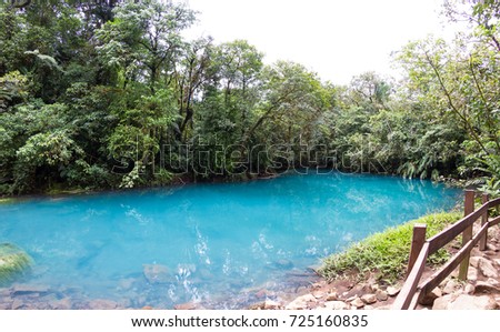 relaxing scene of a calm section in the turquoise river (Rio Celeste) with a tropical rainforest in the background