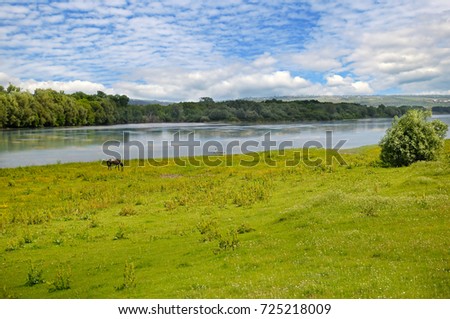 Plain river, meadow and floodplain forest on the shore
