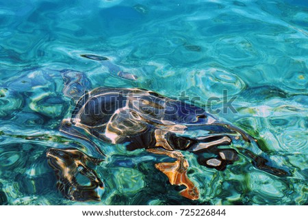 A Turtle swimming under the water of clear blue water of the Mediterranean sea 