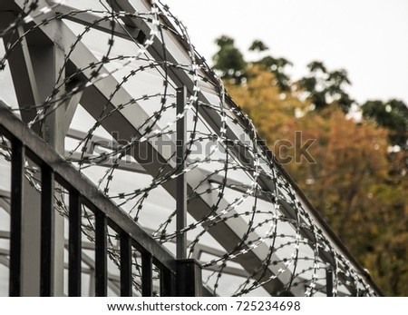 Barbed wire, barbed wire on the fence. Egoz's barbed wire

 Royalty-Free Stock Photo #725234698