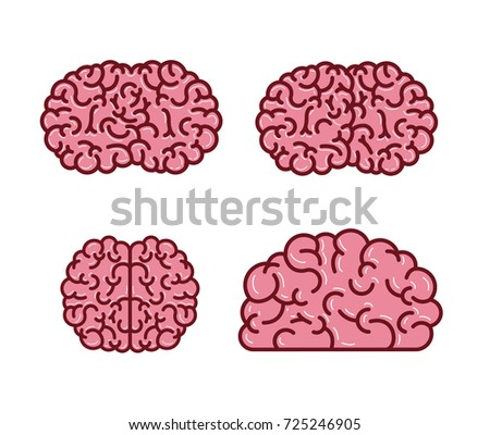 brain silhouettes several views in pink color vector illustration