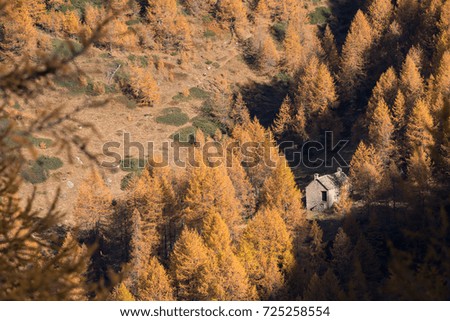 Scenic mountain fall landscape with stone lodge surrounded by larches forest in sunny autumn day outdoor.