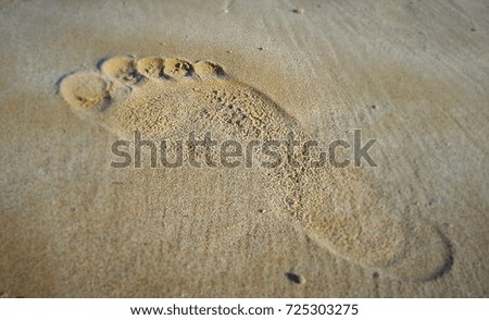 Footprint in the Sand. Beach Holidays