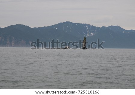 Photo of the sea landscape. Rocks in the sea. Stone rocks covered with grass. Weak waves. Overcast sky.
