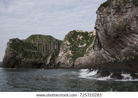 Photo of the sea landscape. Rocks in the sea. Stone rocks covered with grass. Weak waves. Overcast sky.
