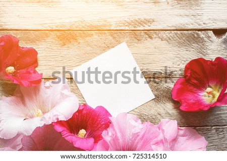White blank greeting card with pink hollyhock flowers on wooden background. Sunlight warm scene. Top view. Mockup