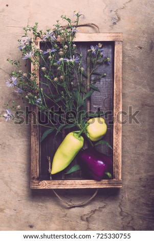 Fresh vegetables and herbs on a wooden burned rustic texture for background. Rough weathered wooden board. Toned.