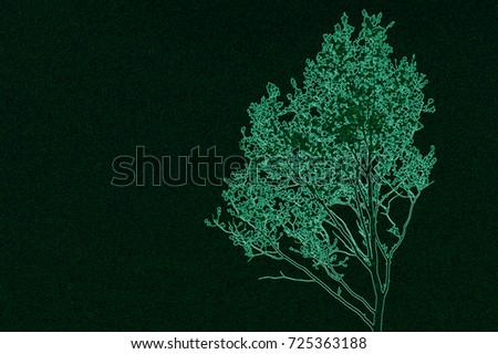 An isolated green tree with fine branches.
