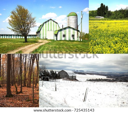 Collage of four pictures. one for each season, spring, summer, fall and winter
