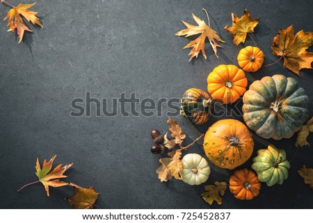 Thanksgiving day or seasonal autumnal background with pumpkins and fallen leaves. Copy space for text
