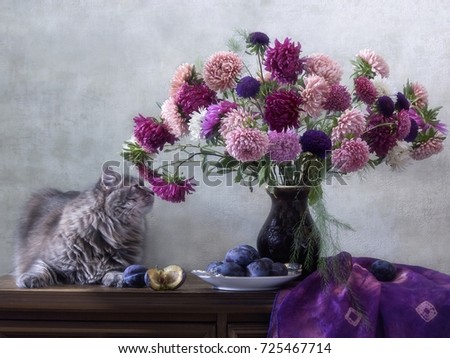 Still life with bouquet of aster flowers and kitty