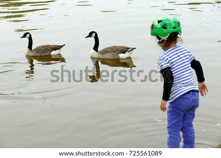 A child plays with ducks