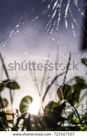 many cracks on the mobile phone screen, selective focus, reflection on the glass of green grass, blue sky and sun, abstract background
