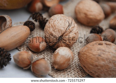 Rustic fall image. Autumn nuts. Burlap fabric.