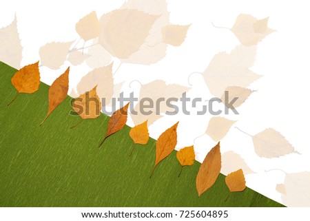 Autumn nature background with free space for text - colorful orange autumn maple leaves isolated on the white background. Autumn background with maple autumn leaves isolated on white.