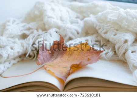 Autumn mood. Cup of coffee, books, blanket and yellow leaves, top view. Toned photo. old vintage book, the concept of learning, self-development, hygge style, comfort concept