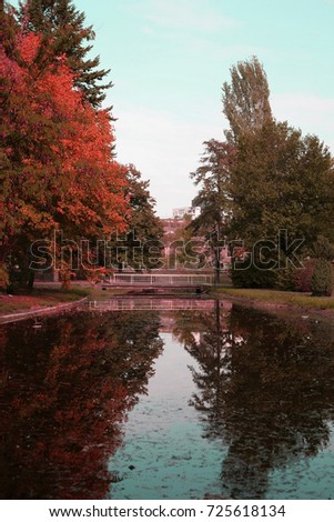 Tree reflection in a water in autumn; park scenery in autumn.