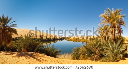 Umm al-Ma Lake - Idyllic oasis in the Awbari Sand Sea,  Sahara Desert, Libya Royalty-Free Stock Photo #72562690