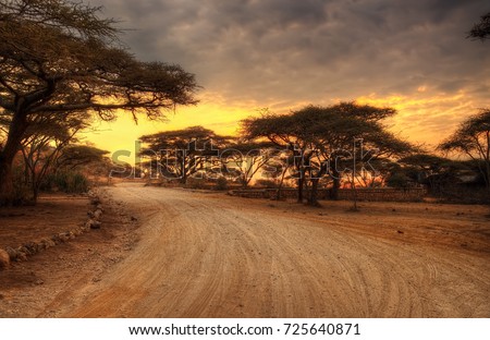Serengeti National Park Wildlife Royalty-Free Stock Photo #725640871