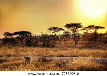 Serengeti National Park Sunset Royalty-Free Stock Photo #725640910