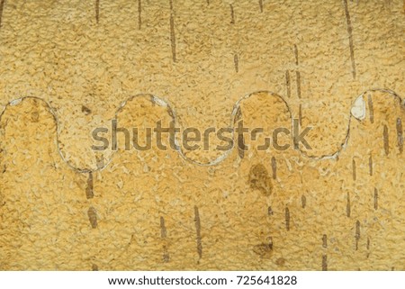 birch bark natural texture background