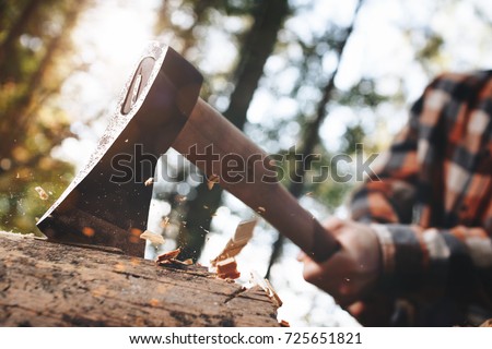 Strong lumberjack in plaid shirt chops tree in wood with sharp ax, close up axe, wood chips fly. Horizontal, blurred Background Royalty-Free Stock Photo #725651821