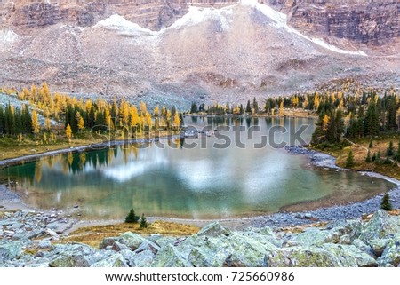 Alpine Lake Landscape on Opabin Plateau on Great Hiking Trail above Lake O’Hara during Autumn Colors Change in Yoho National Park British Columbia Canada