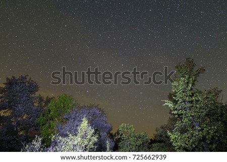 night landscape, forest and starry sky wit ursa major constellation