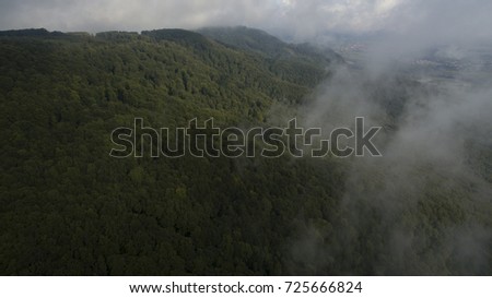 Mountain fog at a height in the mountains