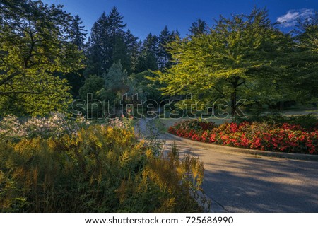 Stanley park in the summer,Vancouver canada