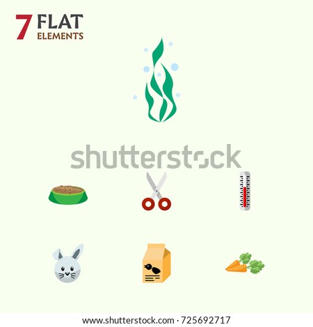 Flat Icon Animal Set Of Nutrition Box, Shears, Temperature Measurement And Other Vector Objects. Also Includes Root, Scissors, Vegetable Elements.