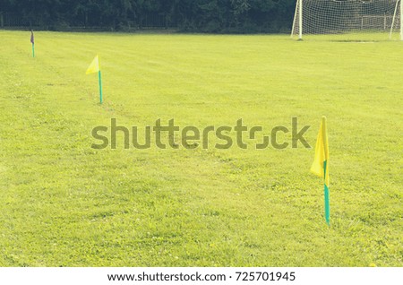 Yellow flags on the green grass of a football playing field