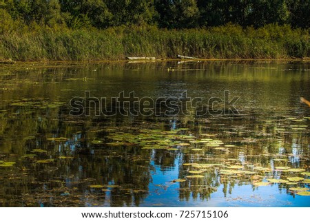 Blue water with green background at Bird Sanctuary