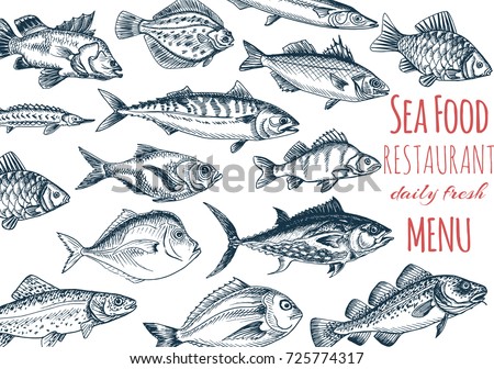 Vector illustration sketch - fish menu restaurant. Card menu seafood. vintage design template, banner.
