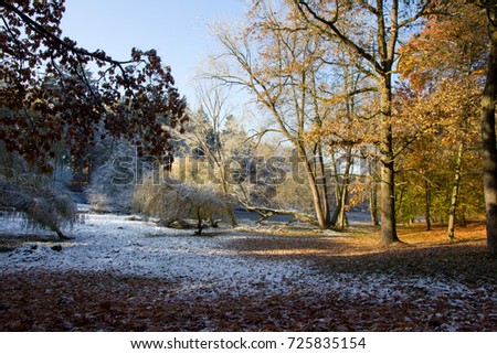 Photo of autumn trees with colorful leaves and snow cover
