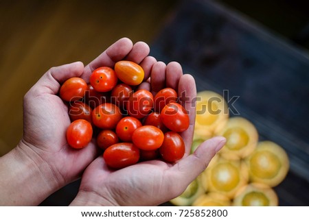 Close focus of hand holding sweet million tomato with copy space for text or advertising